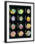 Coloured MRI Scans of Human Brain (multiple Views)-Mehau Kulyk-Framed Photographic Print