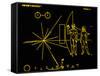 Coloured Pictorial Plaque on Pioneer 10 And 11-null-Framed Stretched Canvas