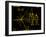 Coloured Pictorial Plaque on Pioneer 10 And 11-null-Framed Photographic Print