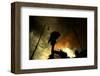 Coloured Rain-null-Framed Premium Giclee Print