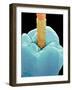 Coloured SEM of a Dental Drill Drilling Into Tooth-Volker Steger-Framed Photographic Print