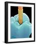 Coloured SEM of a Dental Drill Drilling Into Tooth-Volker Steger-Framed Photographic Print