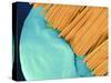 Coloured SEM of a Toothbrush Scrubbing a Tooth-Volker Steger-Stretched Canvas