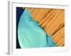 Coloured SEM of a Toothbrush Scrubbing a Tooth-Volker Steger-Framed Photographic Print