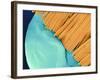 Coloured SEM of a Toothbrush Scrubbing a Tooth-Volker Steger-Framed Photographic Print