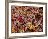 Coloured SEM of Adipose Tissue Showing Fat Cells-null-Framed Photographic Print