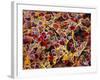 Coloured SEM of Adipose Tissue Showing Fat Cells-null-Framed Photographic Print