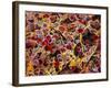 Coloured SEM of Adipose Tissue Showing Fat Cells-null-Framed Photographic Print