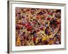 Coloured SEM of Adipose Tissue Showing Fat Cells-null-Framed Photographic Print