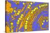Coloured TEM of Herpes Simplex Viruses Inside Cell-Dr. Linda Stannard-Stretched Canvas