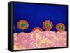 Coloured TEM of HIV Viruses Budding From a T-cell-NIBSC-Framed Stretched Canvas