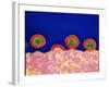 Coloured TEM of HIV Viruses Budding From a T-cell-NIBSC-Framed Photographic Print