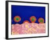 Coloured TEM of HIV Viruses Budding From a T-cell-NIBSC-Framed Photographic Print