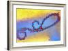 Coloured TEM of Leptospira Sp. Bacterium-null-Framed Photographic Print