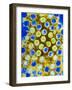 Coloured TEM of Rotaviruses-null-Framed Photographic Print