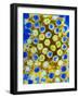 Coloured TEM of Rotaviruses-null-Framed Photographic Print