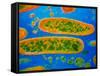 Coloured TEM of Yersinia Pestis Bacteria-null-Framed Stretched Canvas