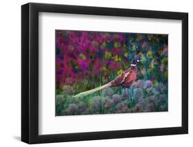 Coloured walk with Pheasant-Claire Westwood-Framed Art Print