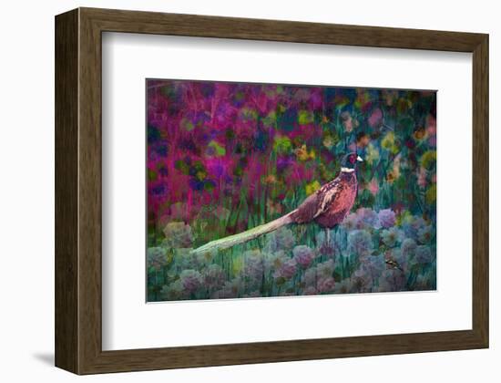 Coloured walk with Pheasant-Claire Westwood-Framed Art Print