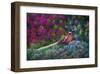 Coloured walk with Pheasant-Claire Westwood-Framed Art Print