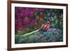 Coloured walk with Pheasant-Claire Westwood-Framed Art Print