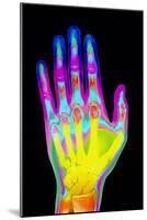 Coloured X-ray of the Healthy Hand of a Man-Mehau Kulyk-Mounted Photographic Print