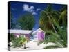 Colourful Beach Hut Beneath Palm Trees, Rum Point, Grand Cayman, Cayman Islands, West Indies-Ruth Tomlinson-Stretched Canvas