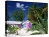 Colourful Beach Hut Beneath Palm Trees, Rum Point, Grand Cayman, Cayman Islands, West Indies-Ruth Tomlinson-Stretched Canvas