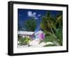 Colourful Beach Hut Beneath Palm Trees, Rum Point, Grand Cayman, Cayman Islands, West Indies-Ruth Tomlinson-Framed Photographic Print