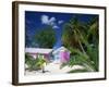 Colourful Beach Hut Beneath Palm Trees, Rum Point, Grand Cayman, Cayman Islands, West Indies-Ruth Tomlinson-Framed Photographic Print