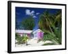 Colourful Beach Hut Beneath Palm Trees, Rum Point, Grand Cayman, Cayman Islands, West Indies-Ruth Tomlinson-Framed Photographic Print