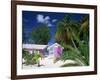 Colourful Beach Hut Beneath Palm Trees, Rum Point, Grand Cayman, Cayman Islands, West Indies-Ruth Tomlinson-Framed Photographic Print