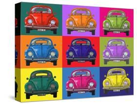 Colourful Beetles-Peter Adderley-Stretched Canvas