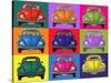 Colourful Beetles-Peter Adderley-Stretched Canvas