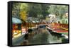 Colourful Boats at the Floating Gardens in Xochimilco-John Woodworth-Framed Stretched Canvas