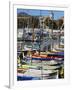 Colourful Boats in Port Lympia, Quartier Du Port, Nice, Alpes Maritimes, Provence, Cote D'Azur, Fre-Peter Richardson-Framed Photographic Print