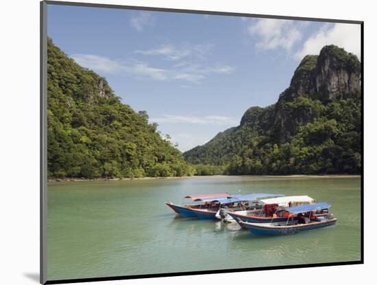 Colourful Boats, Langkawi Island, Kedah State, Malaysia, Southeast Asia, Asia-Christian Kober-Mounted Photographic Print