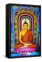 Colourful Buddha Statue at Isurumuniya Vihara-Matthew Williams-Ellis-Framed Stretched Canvas