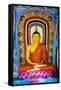 Colourful Buddha Statue at Isurumuniya Vihara-Matthew Williams-Ellis-Framed Stretched Canvas