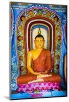 Colourful Buddha Statue at Isurumuniya Vihara-Matthew Williams-Ellis-Mounted Photographic Print