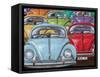 Colourful Bugs-Peter Adderley-Framed Stretched Canvas