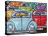 Colourful Bugs-Peter Adderley-Stretched Canvas