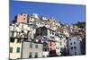 Colourful Buildings at Riomaggiore-Mark Sunderland-Mounted Photographic Print