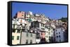 Colourful Buildings at Riomaggiore-Mark Sunderland-Framed Stretched Canvas