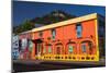 Colourful Buildings in Barrio Bellavista (Bellavista Neighborhood), Santiago Province, Chile-Matthew Williams-Ellis-Mounted Photographic Print