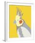 Colourful Cockatiel-Clara Wells-Framed Giclee Print