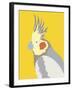 Colourful Cockatiel-Clara Wells-Framed Giclee Print