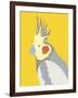 Colourful Cockatiel-Clara Wells-Framed Giclee Print