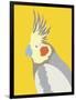 Colourful Cockatiel-Clara Wells-Framed Giclee Print