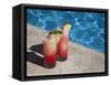 Colourful Cocktails by the Pool, Punta Cana, Dominican Republic, West Indies, Caribbean, Central Am-Frank Fell-Framed Stretched Canvas